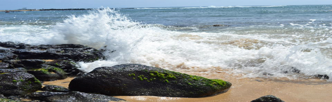 hawaii surf